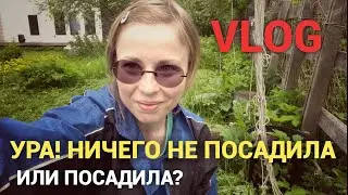 Мой не огород и другие новости последних дней. Просто дневник Константиновой.