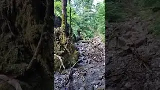 турист на Плачущих водопадах