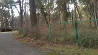 Пицундский заповедник февраль 2024 часть 9