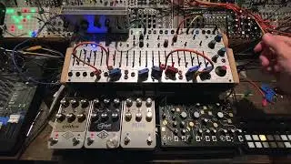 Buchla 208c & MakeNoise Strega Dream Team