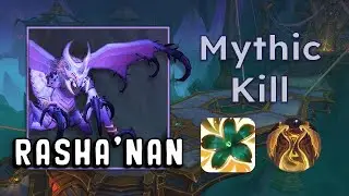 Mythic Rasha'nan Prog Kill | Chronowarden Preservation Evoker | Nerub-ar Palace | TWW 11.0
