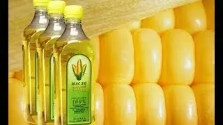 Кукурузное масло польза и вред. Что можно лечить кукурузным маслом?