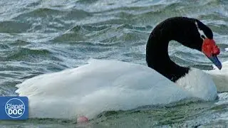 Chilean Patagonia - Part 1