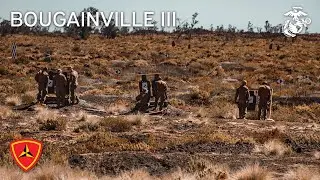 Bougainville III: 3d MLR