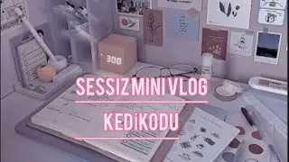 Sessiz Mini #vlog #kedikodu #sessizvlog