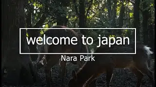 NARA PARK CINEMATIC VLOG SHOT BY SONY A6400 CZ 55.18