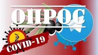 Опрос на  ТЕЛЕГРАМ | К19