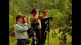 Birding Culture - College Project