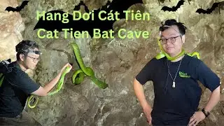 Vietnam Wildlife Watching at Cat Tien National Park - Herping Cat Tien National Park