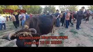 молбозори Мастчоҳ якум участка 10 04 2023с