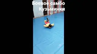 13 ноября 2022 г.