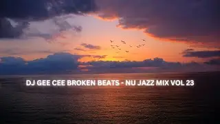 BROKEN BEATS - NU JAZZ MIX VOL 23