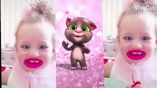 رقص القط القطط اللطيفة الملونة ترقص وتغني بأعين القط وهي تتحدث إلى توم
