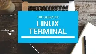 How to use a Terminal - Basic Steps