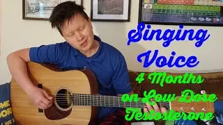 Singing Voice 4 Months on Low Dose T - Vincent (Starry Starry Night) by Don McLean