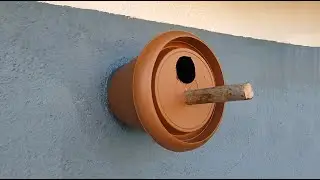 KUŞ YUVASI NASIL YAPILIR? - HOW TO MAKE A BIRD'S NEST?