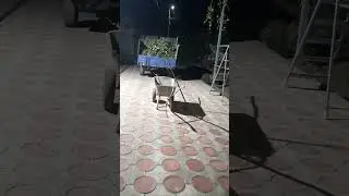 рыжий Боня , Царь Бонифаций ушёл гулять