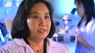 Kill or Cure - Deadly Dengue Fever - Trailer