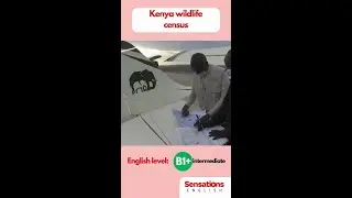 Kenya wildlife census