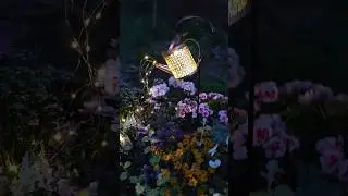 Magic everywhere