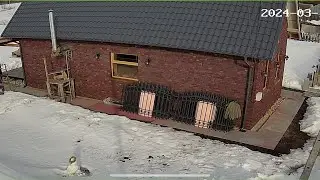 Кованный забор для домика в деревне