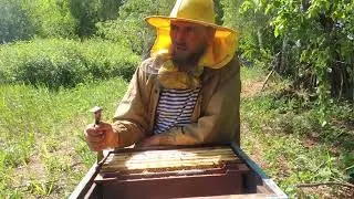 Повышение уровня в пчеловодстве.