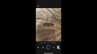 Using Adobe Scan to create one PDF from multiple images