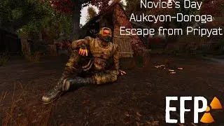Day of Novice/День Новичка