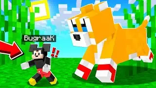 We became CAT in Minecraft 😸