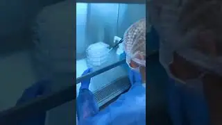 ¿Dónde se procesan las células madre en el laboratorio?