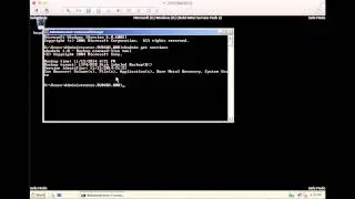 Lab 11 INTC 2050