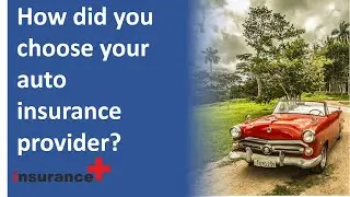 How did you choose your auto insurance provider?