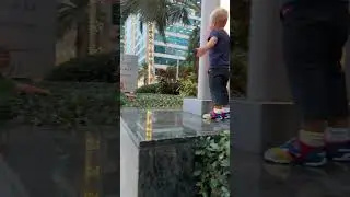 Малыши поют, прогуливаясь по Майами. Милое видео! 