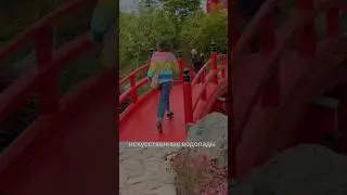 локация в конце видео 🤫 