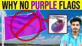 Why Country Flags Don't Use Purple? | National Flag Colour Meaning