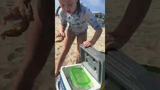 CRAB CLAW Cooler 🦀 #beach #familyvlog