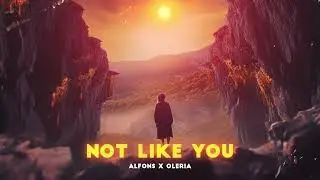 Alfons - Not Like You (feat. Oleria)
