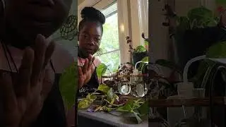 Propogation station plant art creation!