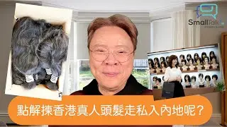 【Small Talk】點解揀香港真人頭髮走私入內地呢？| 真人頭髮 | 假髮製造業 | 走私 | 龍蝦 | 陳志雲 | 志雲大師（2024年11月13日）