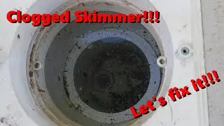 Unclogging a Pool Skimmer with Drain King