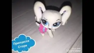 LPS моя Коллекция ❤️❤️❤️