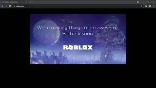 waiting until roblox is back up