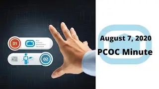 August 7 2020 PCOC Minute