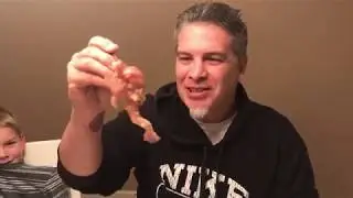 We try pickled pigs feet CHALLENGE!!