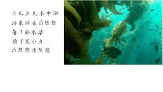 Fish Song