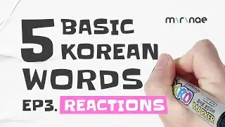 5 Basic Korean Words 🇰🇷 ( Ep3. Reactions )