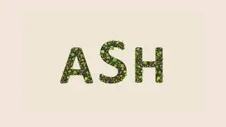 Ash. Открытие сезона.