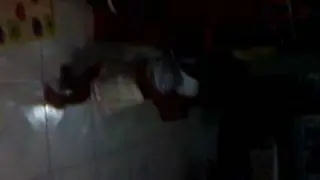 angel little pussycat dolls part3