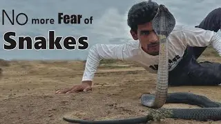 Cobra Snake |bite effect| venom Information