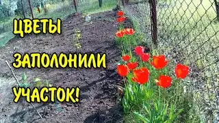 Что делается на даче